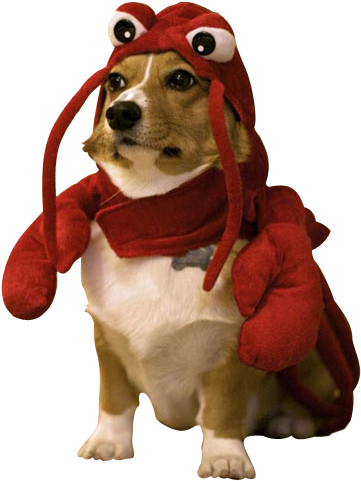 Red Lobster Birmingham Menu S Restaurant Reviews - Dog In Lobster Costume (388x504)
