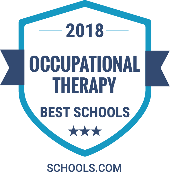 College For Physical Therapist (593x600)