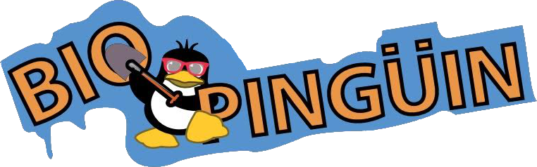 Best Kids Shoes For Summer - Cartoon (762x238)