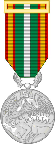 93 × 240 Pixels - Medalla Al Merito Policial (233x598)