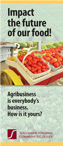 Lamp Post Publicity Lifting Your Light Higher - Screenshot (1200x600)