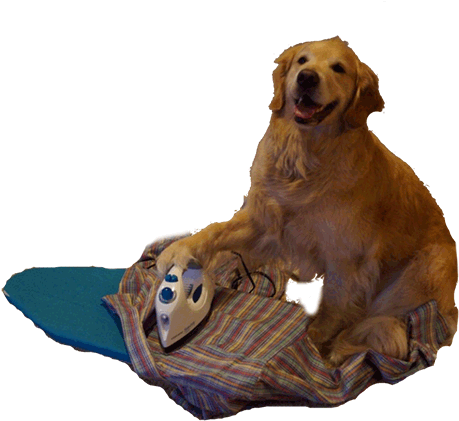 Animated Gif Transparent, Happy, Iron, Share Or Download - Have No Idea What I M Doing (500x471)