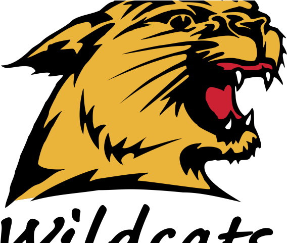 Wildcat Clipart Nmu - Northern Michigan University (640x480)