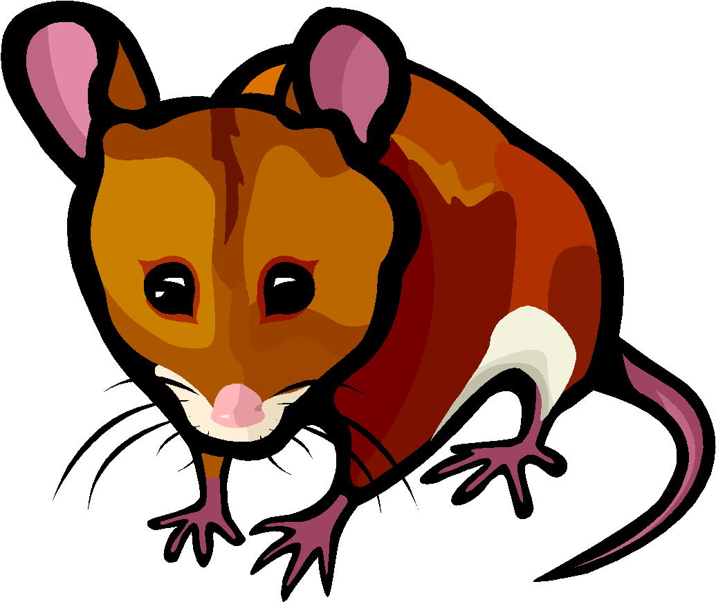 Good Hygiene Practice - Statistics Of The Black Death (1114x897)