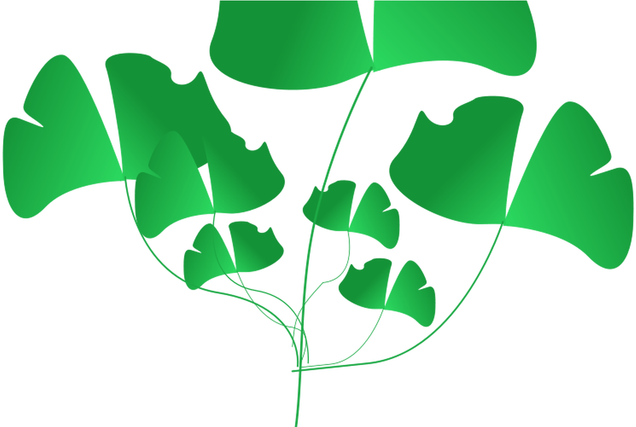 Plant Border Clip Art Clipartsco - Clip Art (1368x855)