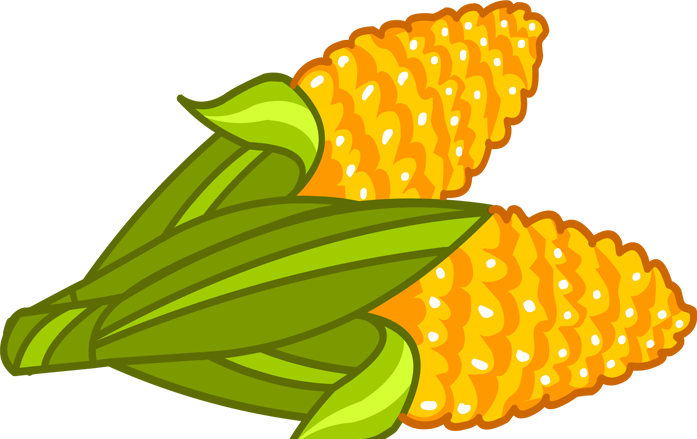 Corn On The Cob Maize Sweet Corn - Corn Anime (697x439)