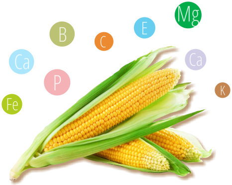 Corn Tubes Balila - Yellow Fruits And Vegetables (466x373)