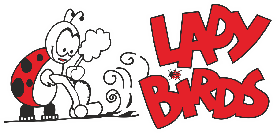 Domestic Cleaning Companies - Ladybirds Cleaning Services Ltd (1182x569)