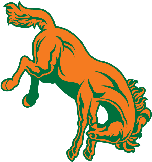 Texas Pan American Texas Pan Am Womens College Golf - University Of Texas–pan American (617x617)