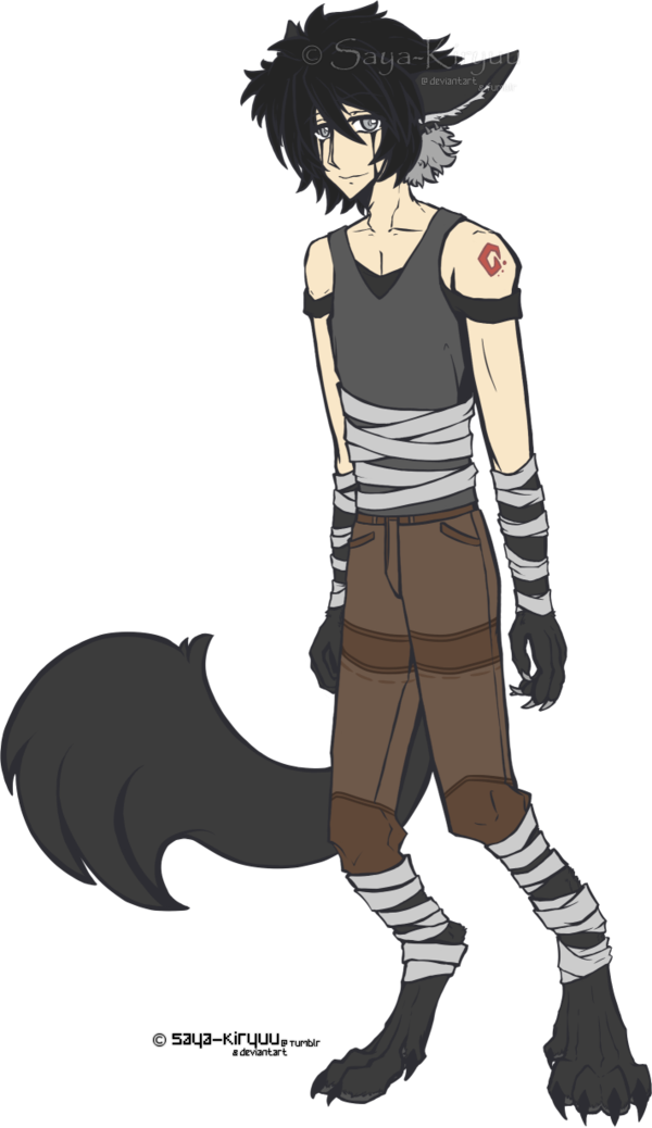 Anime Half Human Half Wolf - Half Wolf Half Human Anime (600x1038)