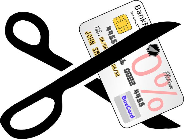 A Recent Article In The Guardian Tells The Sorry Tale - Credit Card Clip Art (640x485)