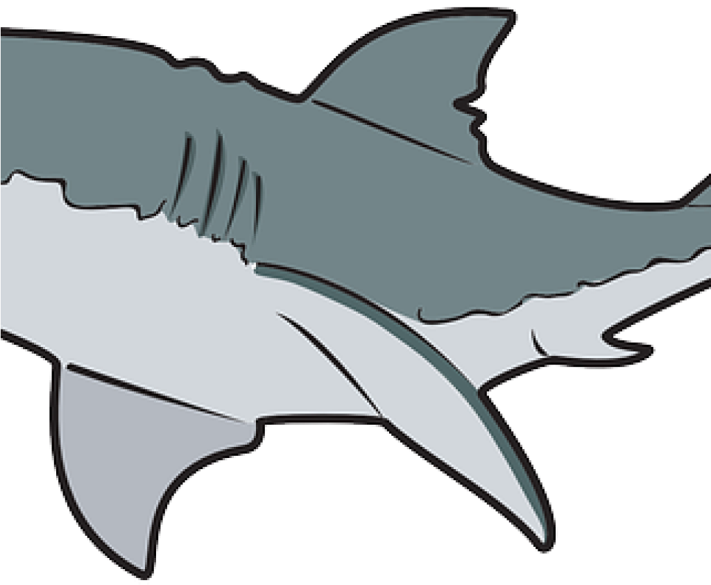 Free Shark Clipart Clipart Classroom Clipart - Great White Shark Mugs (1024x1024)