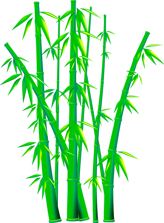 Bamboo Euclidean Vector Clip Art - Vector Bamboo Png (658x894)