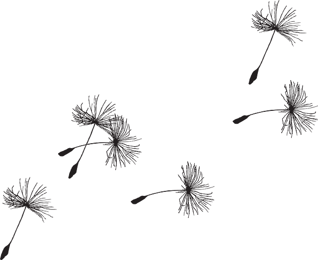 Dandelion Seed Tattoo (640x523)