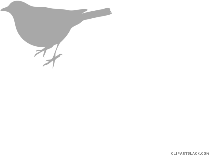 Teal Birds Animal Free Black White Clipart Images Clipartblack - Bird Silhouette Clip Art (700x525)