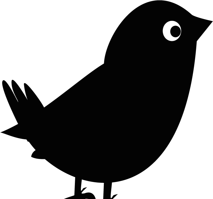 Common Blackbird Dominican Republic Birds Clip Art - Old World Flycatcher (785x680)