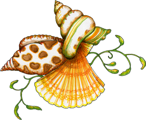 For Scrapbooking At The Beach - Seashell Clip Art Free (500x411)