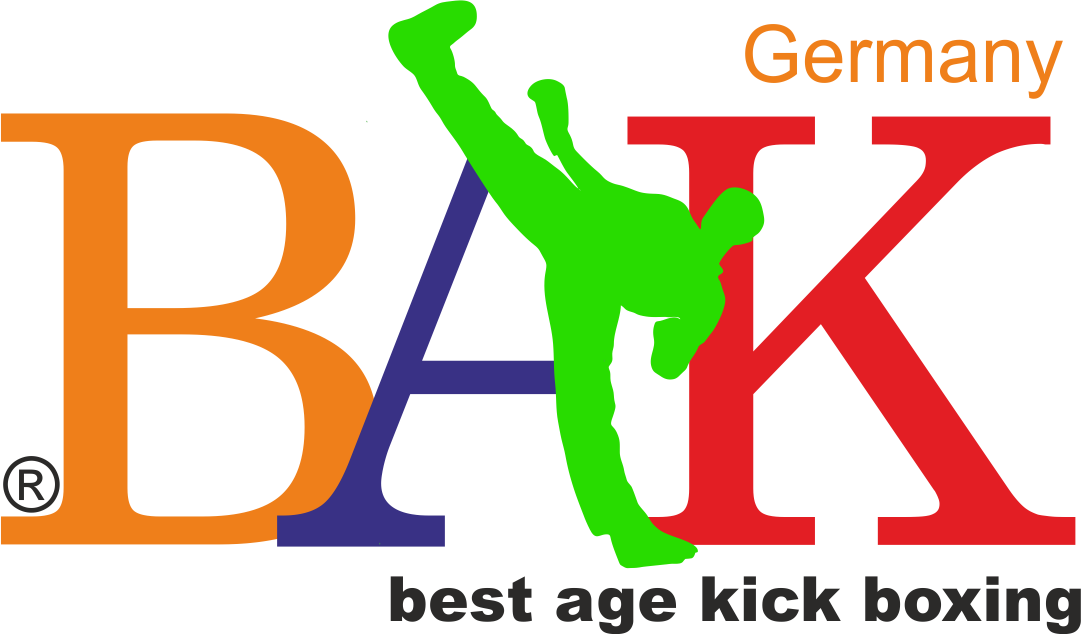 Lone Star Martial Arts System Lone Star Martial Arts - Graphic Design (1081x634)