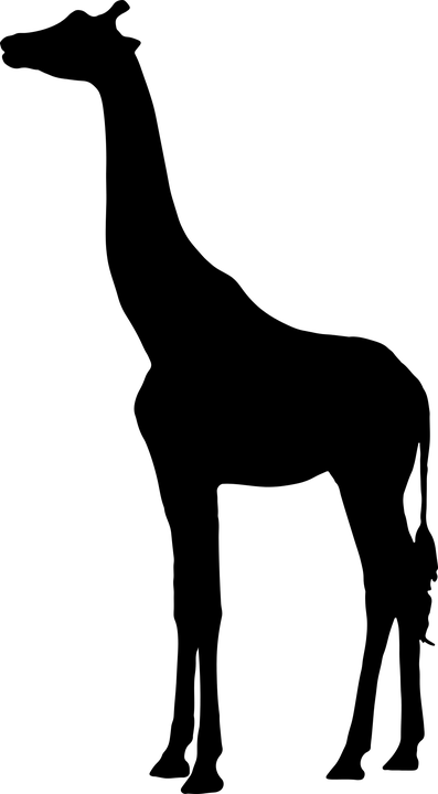 Giraffe, Landscape, Animal, Mammal, Africa, Tall, Neck - Giraffe Silhouette (397x720)