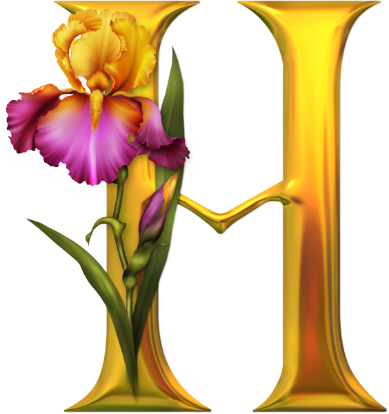 Explore Alphabet Soup, Alphabet Letters And More - H In Flower (564x600)