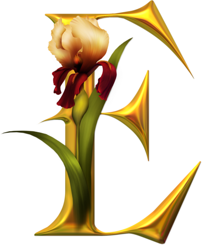 E - Alfabeto De Orquideas (661x800)