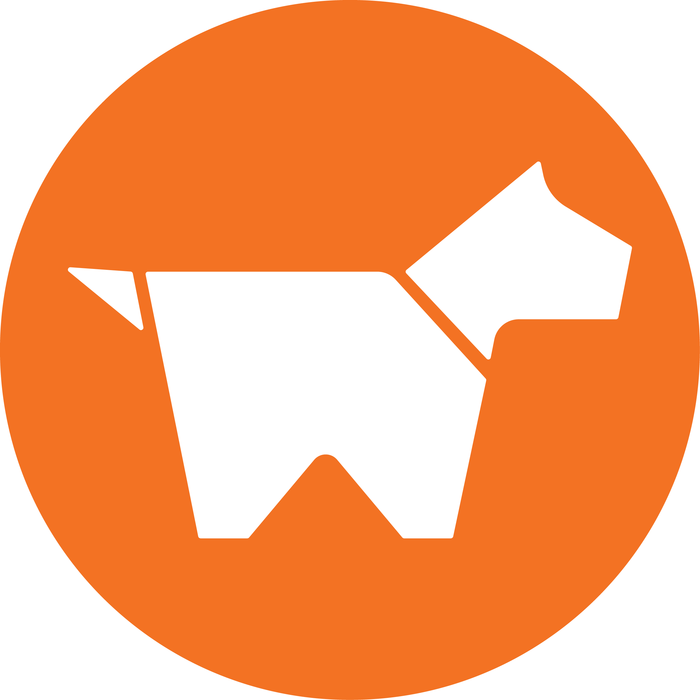 Walk My Dog - New York Times App Icon (2340x2340)