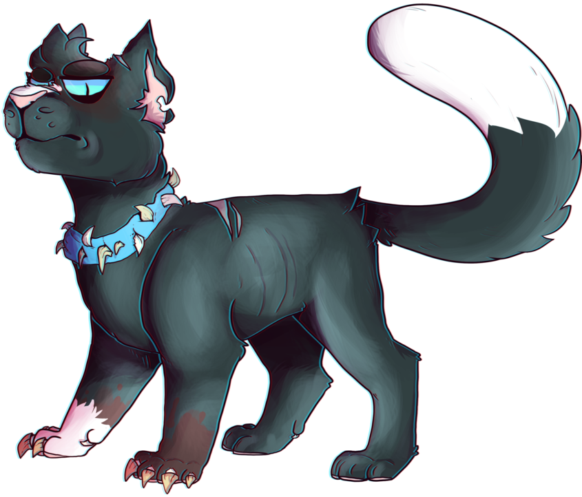 Motherfucker Ill Be Back From The Dead Soon By Qayson - Black Cat (894x894)