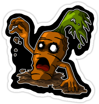 Cult Of The Dead Carrot - Boxer (375x360)