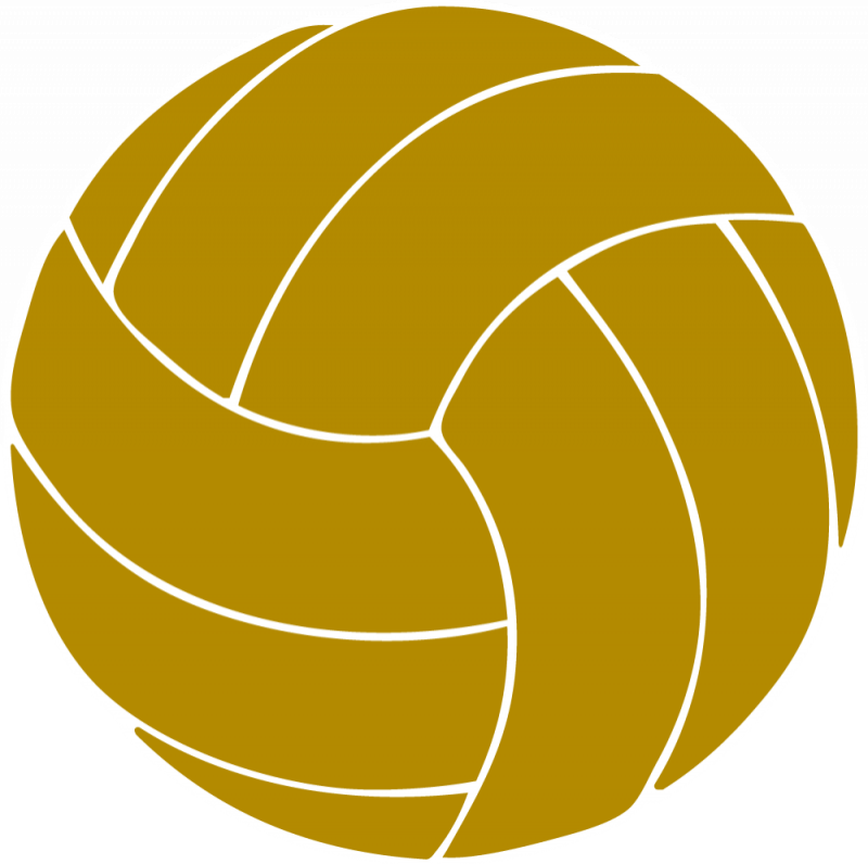 Girls 7th/8th Grades Volleyball - Transparent Background Volleyball Clipart (800x796)