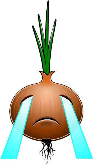 Sad Onion By Mondspeer - Sad Onion By Mondspeer (345x580)