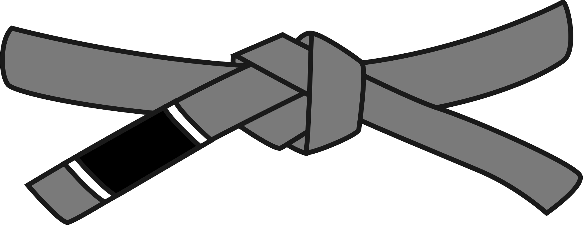 Related Jiu Jitsu Grey Belt (2000x772) Png Clipart Download