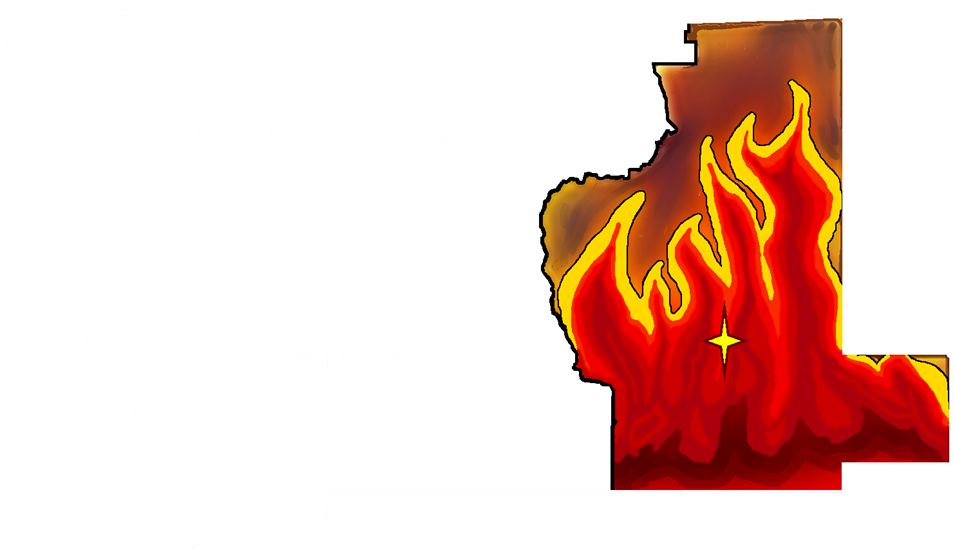 Парень разжигает костер. Как он это делает выставка в гцси огонь. Огонь центр. America sets fire to europe. Красивый костер.