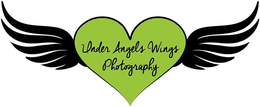 Under Angels Wings Photography - Heart (949x464)