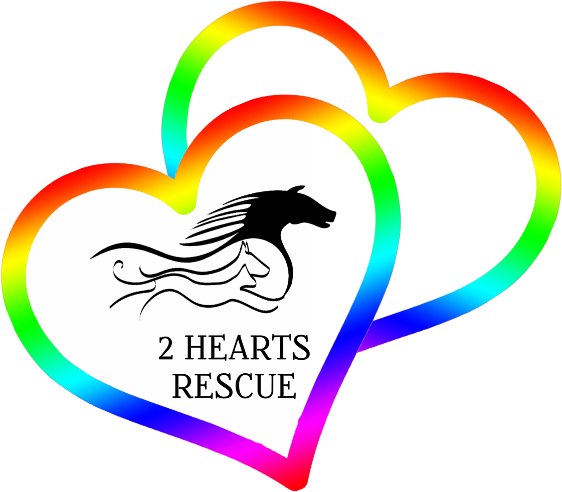 Want To Write In The 2 Hearts Rescue World - Horse (1210x1021)
