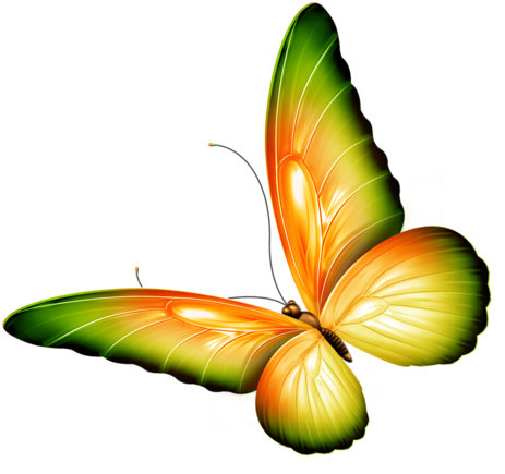 ‿✿⁀butterflies‿✿⁀ - Png Clipart For Photoshop (500x463)