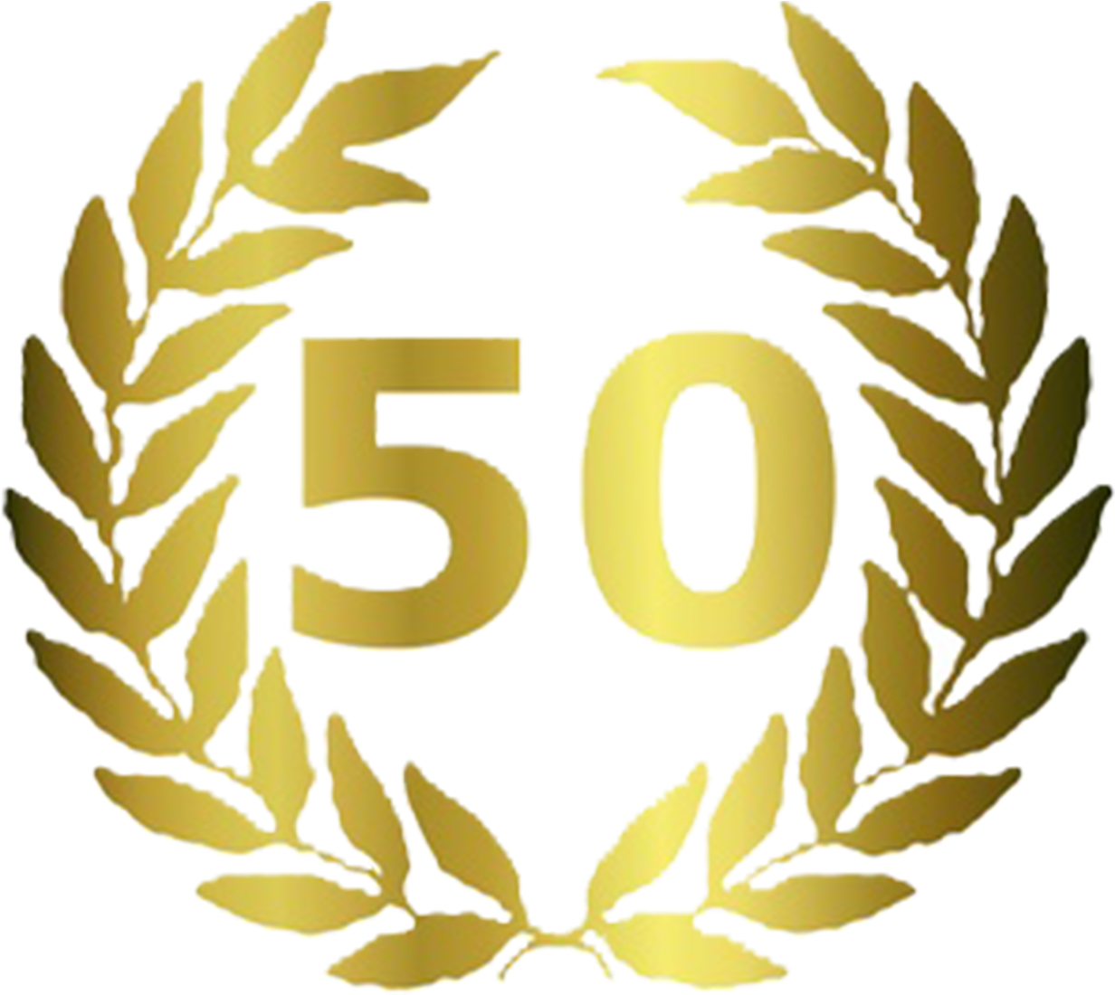 Party Youtube Anniversary Organization Location - 50 Years (1231x1119)