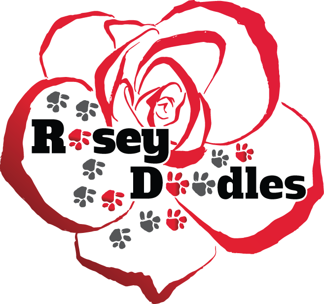 Contact Info - Rosey Doodles (657x616)