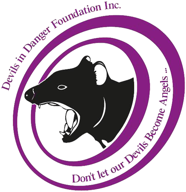 Didf Logo - Transparent - Tasmanian Devil Foundations (1000x1000)