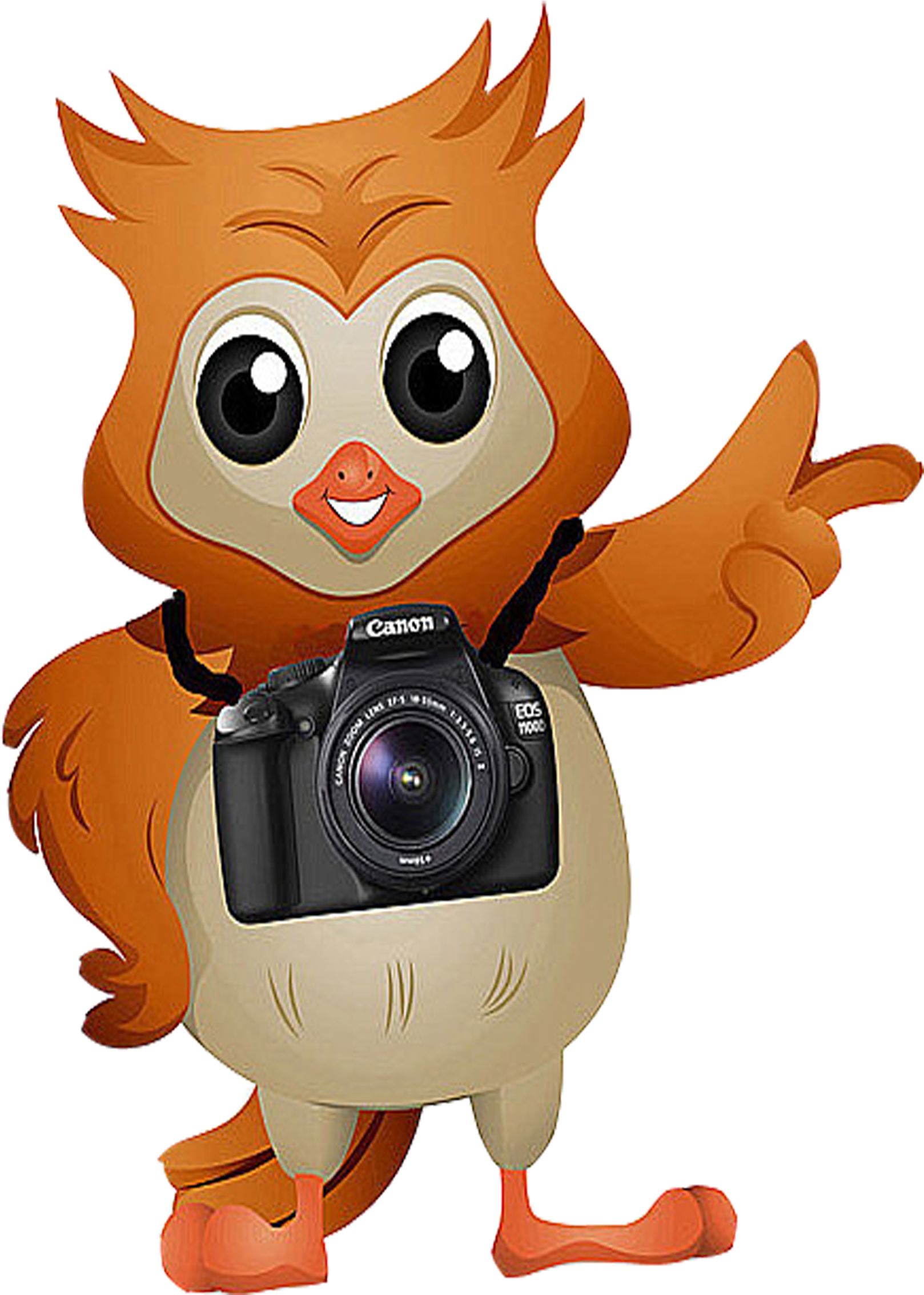 Camera Clipart Owl - Cartoon Owl With A Camera (1800x2700)