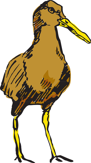 Brown, Drawing, Bird, Wings, Standing, Animal, Feathers - Drawing (356x640)