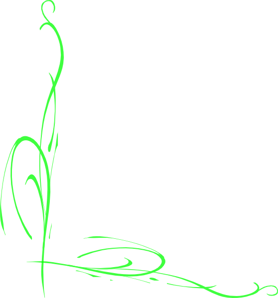 Green Border Clip Art At Clker Com Vector Clip Art - Light Green Border Png (558x599)