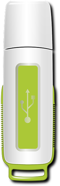 Memory, Usb, Drive, Pen , Clipart - Water Bottle (320x640)