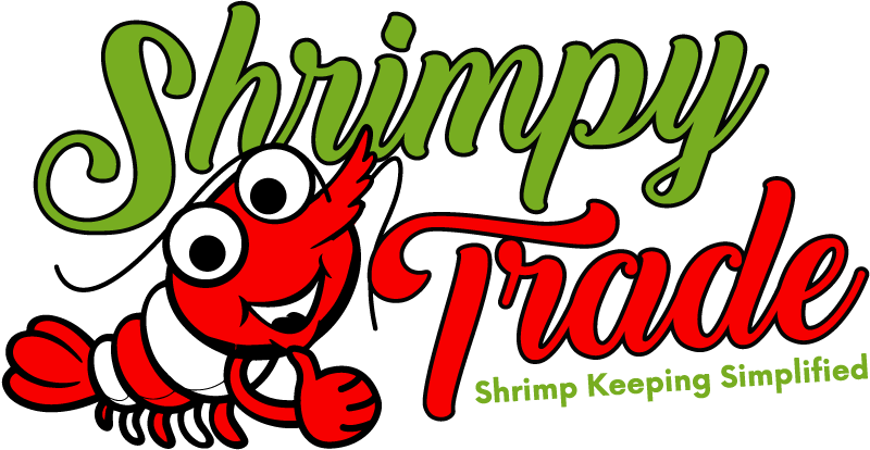 Indigenous Peoples Of The Americas (800x414)