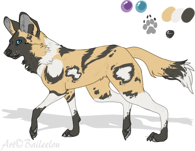 Image For This African Wild Dog Fursuit Is Amazing - Old German Shepherd Dog (648x504)