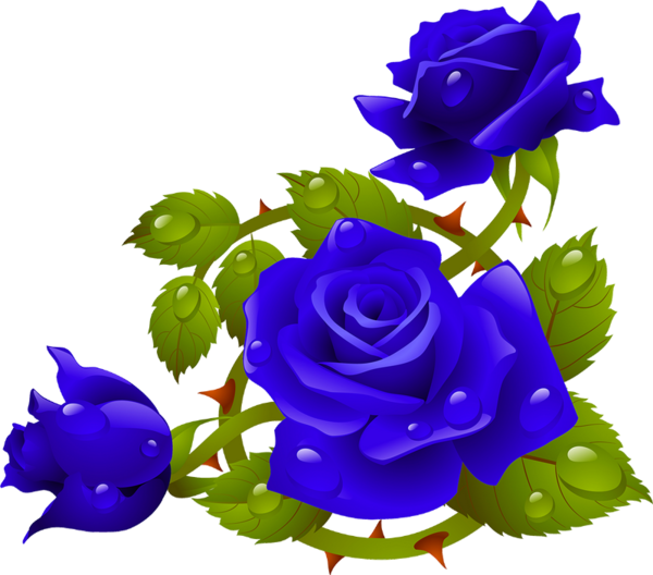 Clip Art - Rose Vignette (600x528)