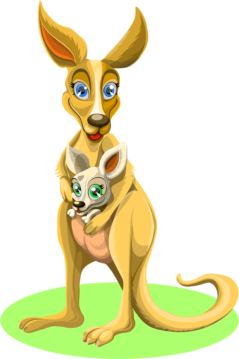 Clip Art Kangaroo - Imagen De Un Canguro (1000x1215)