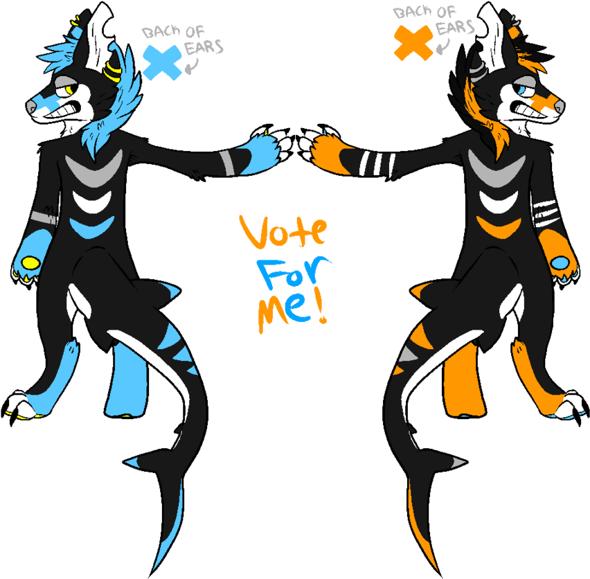 New Fursuit Design By Toxicfox100 - Shark Dog Fursuit (894x894)
