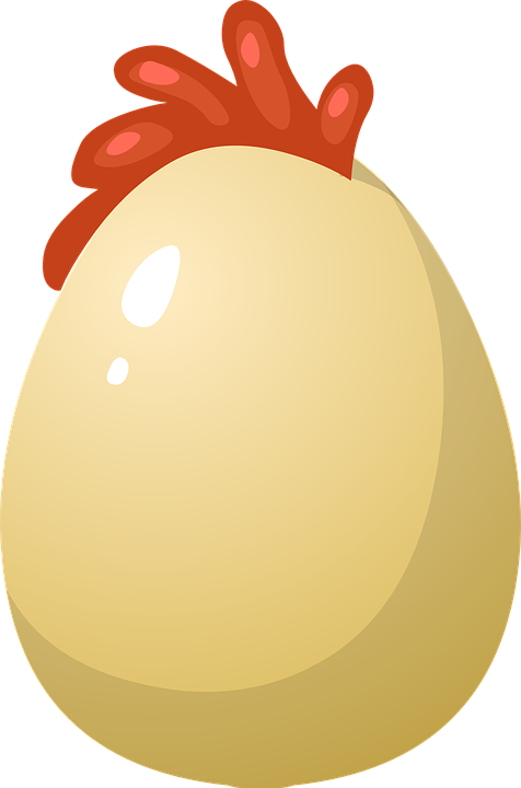 Golden Egg Cliparts 23, Buy Clip Art - Chicken (476x720)