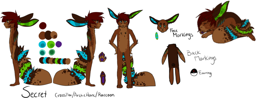 Secret Full Fursuit Ref June 2012 By Dreamsinthenight - Fursuit Animals (900x388)