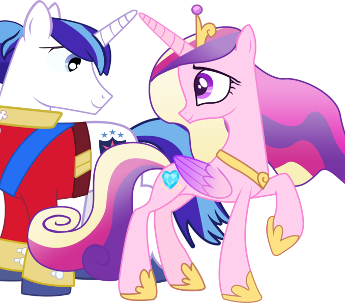 Cadence And Shining Armor Shining Armor And Princess - Mlp Princess Cadance And Shining Armor (678x596)